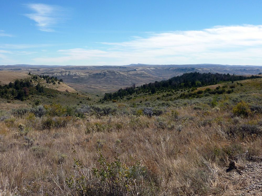 Fosile butte (18).JPG